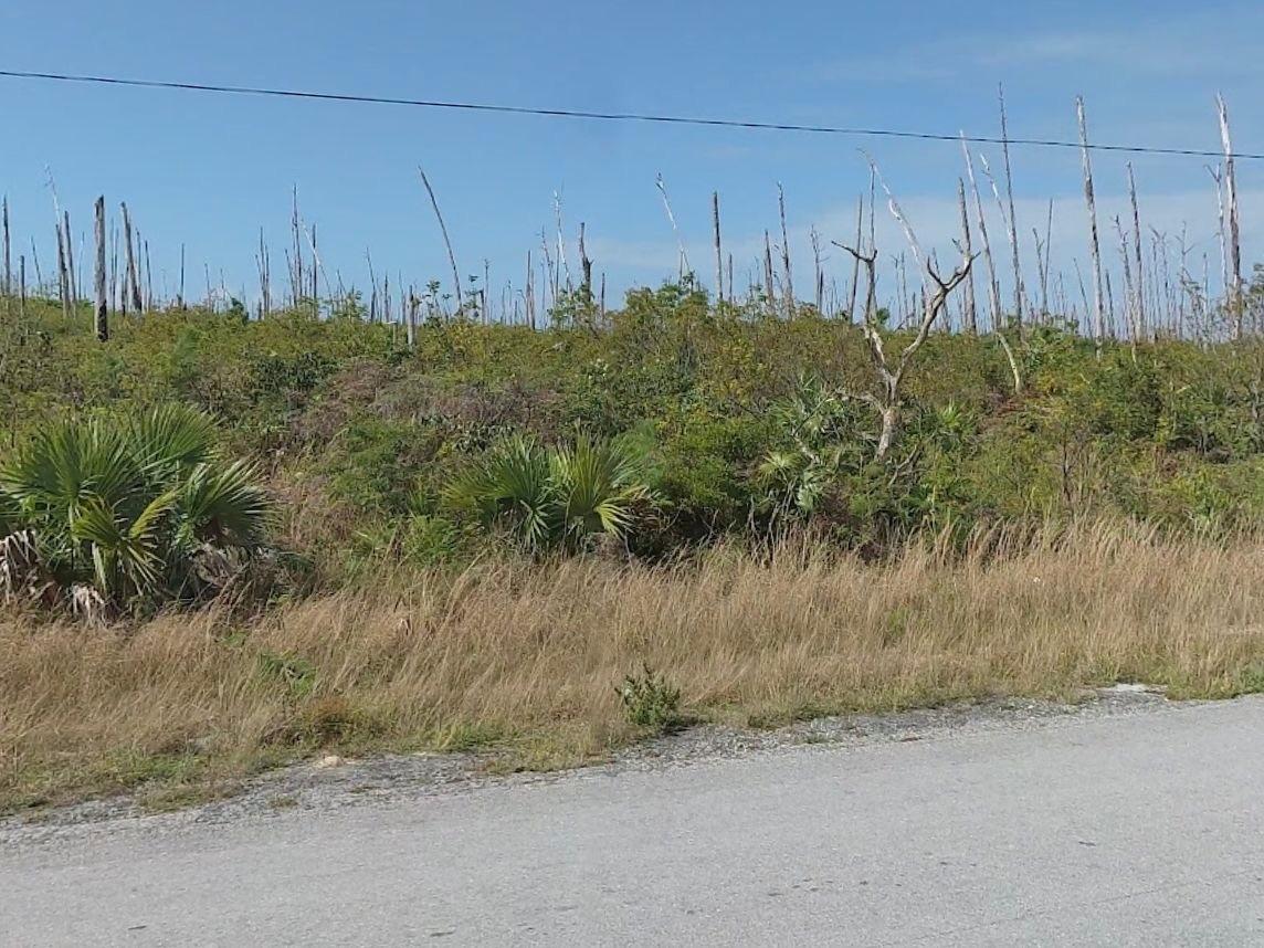 BLACKWOOD, NORTH ABACO Treasure Cay Abaco