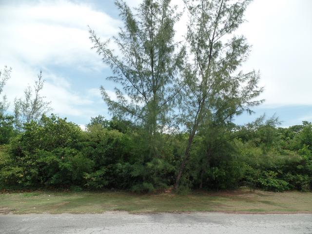 MARSHALL ROAD Marshall Road New Providence/Paradise Island