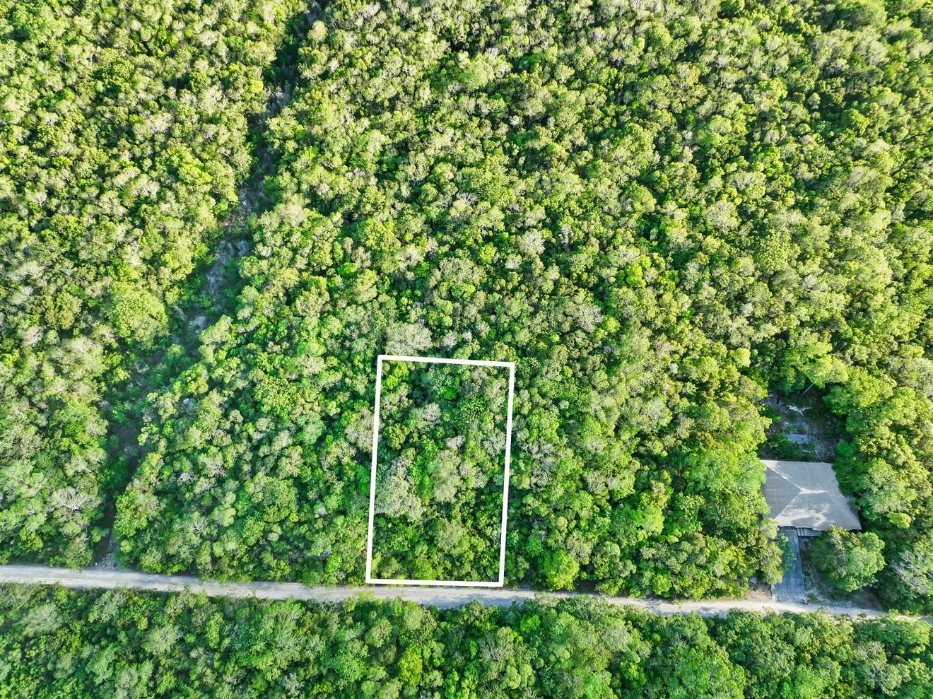 LOT 29 MADEIRA ROAD Rock Sound Eleuthera