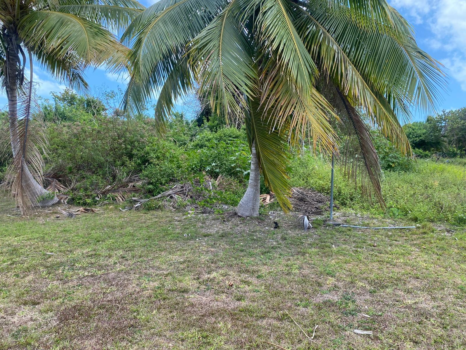 MONASTERY PARK Monastery Park New Providence/Paradise Island