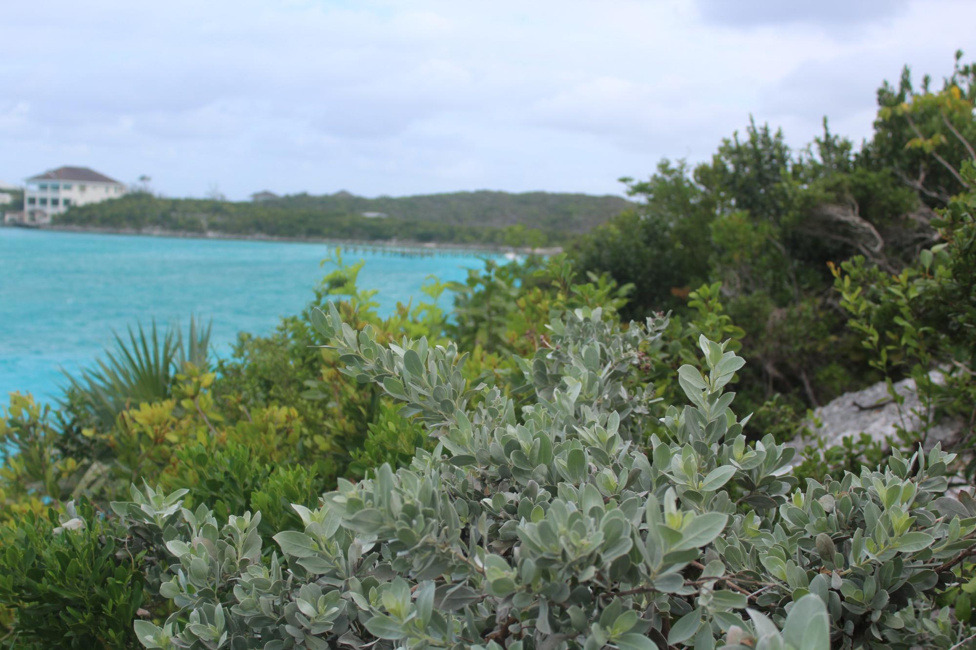LOT #7 STANIEL CAY 720 Exuma & Exuma Cays