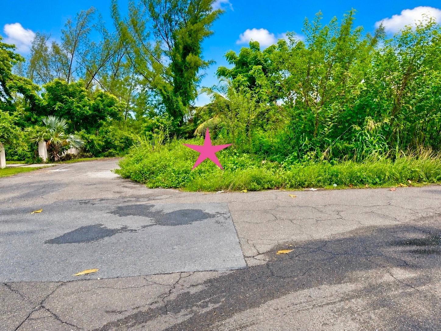 YAMACRAW BEACH EST LOT Yamacraw New Providence/Paradise Island