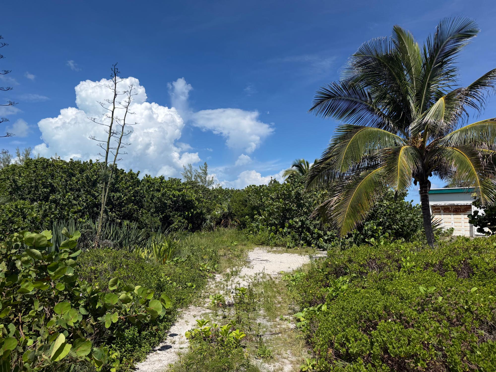 HOLIDAY BEACH Gregory Town Eleuthera
