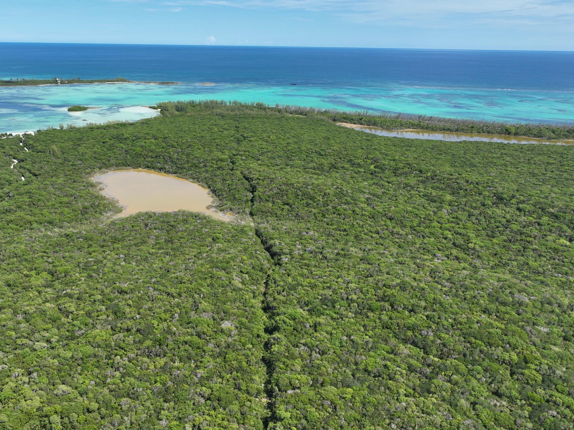 CASSAVA PATH TRACT 3 Savannah Sound Eleuthera