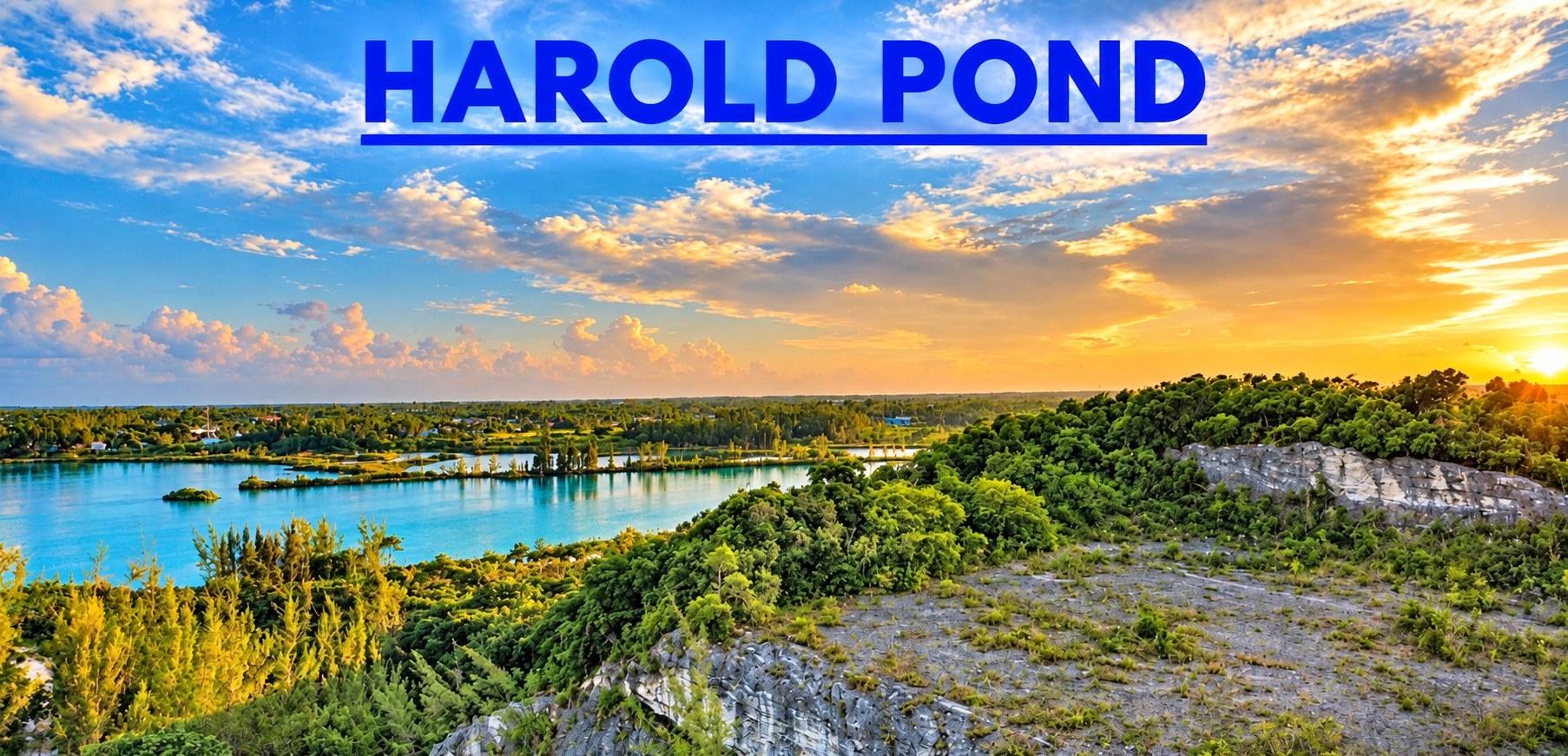 HAROLD POND LOT #1 Harold Road New Providence/Paradise Island